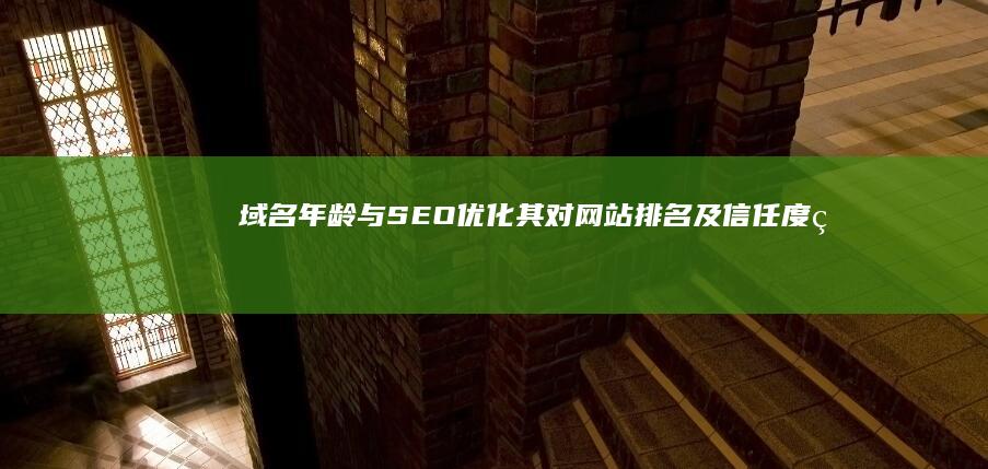 域名年龄与SEO优化：其对网站排名及信任度的深入影响