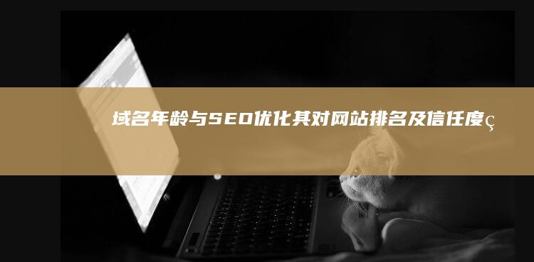 域名年龄与SEO优化：其对网站排名及信任度的深入影响